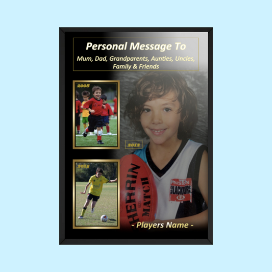 A3 Size Picture/Frame