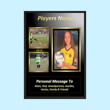 A3 Size Picture/Frame